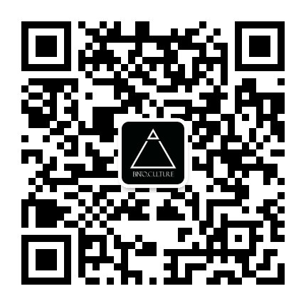 滨图文化BINTO微信公众号二维码